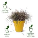 loft urban rond roues 50cm bleu vintage